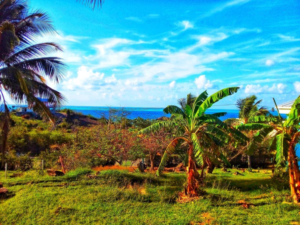 Windy View Guest House Archibolds エクステリア 写真