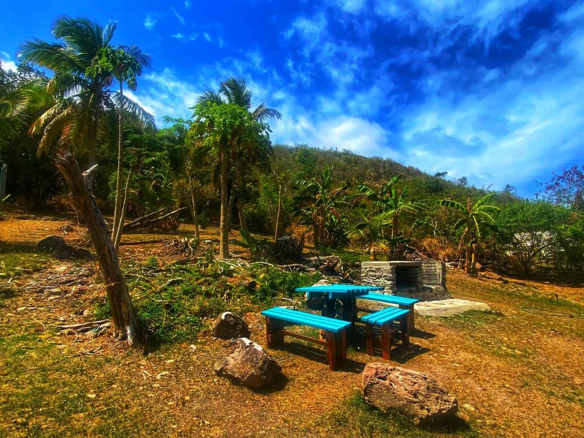 Windy View Guest House Archibolds エクステリア 写真